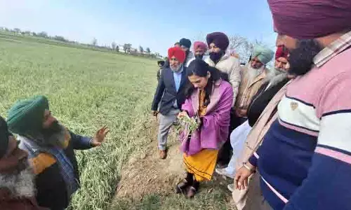 DC ने ओलावृष्टि से क्षतिग्रस्त फसल के लिए किसानों को राहत का आश्वासन दिया DC ने ओलावृष्टि से क्षतिग्रस्त फसल के लिए किसानों को राहत का आश्वासन दिया