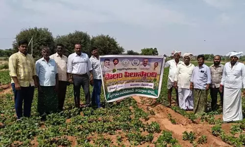Andhra: देवनकोंडा में पोलंबडी कार्यक्रम आयोजित हुआ