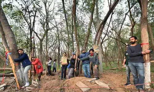 Chandigarh: रॉक गार्डन में हरियाली खत्म होने से निवासी नाराज