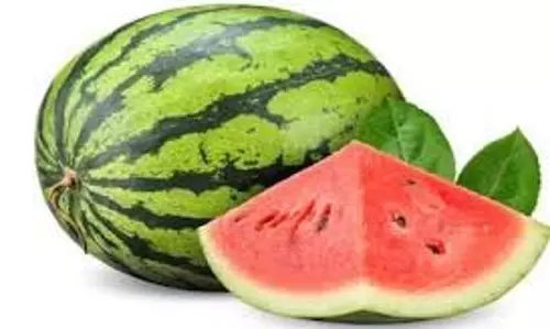 Benefits Of Watermelon:गर्मियों में करें तरबूज का सेवन, शरीर को मिलेगी ठंडक Benefits Of Watermelon:गर्मियों में करें तरबूज का सेवन, शरीर को मिलेगी ठंडक