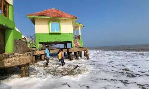 केन्द्रपाड़ा में मैंग्रोव वन परियोजना फाइलों में दबी