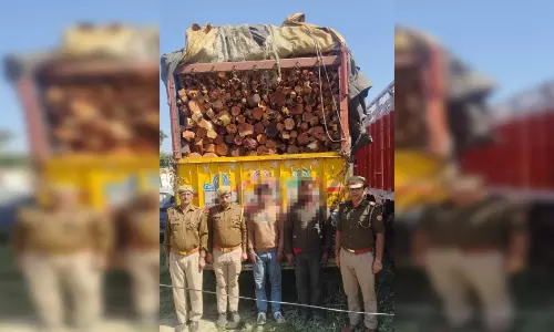 30 लाख की 20 टन प्रतिबंधित लकड़ी जब्त, दो गिरफ्तार 30 लाख की 20 टन प्रतिबंधित लकड़ी जब्त, दो गिरफ्तार