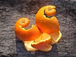 Orange Peel Benefits: संतरे के छिलकों को बेकार समझकर न फेंके, ऐसे करेंगे इस्तेमाल तो मिलेंगे फायदे Orange Peel Benefits: संतरे के छिलकों को बेकार समझकर न फेंके, ऐसे करेंगे इस्तेमाल तो मिलेंगे फायदे