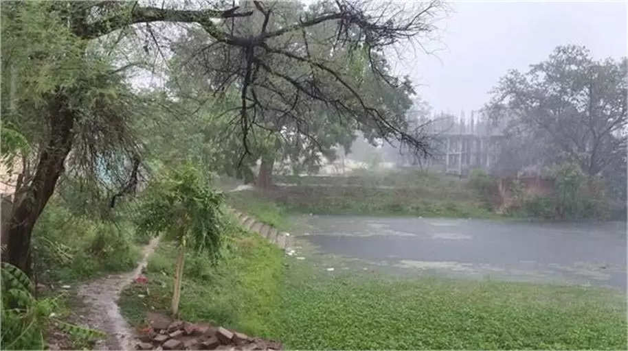 Bihar Weather Today: तेज हवाओं के साथ हल्की बारिश की संभावना Bihar Weather Today: तेज हवाओं के साथ हल्की बारिश की संभावना