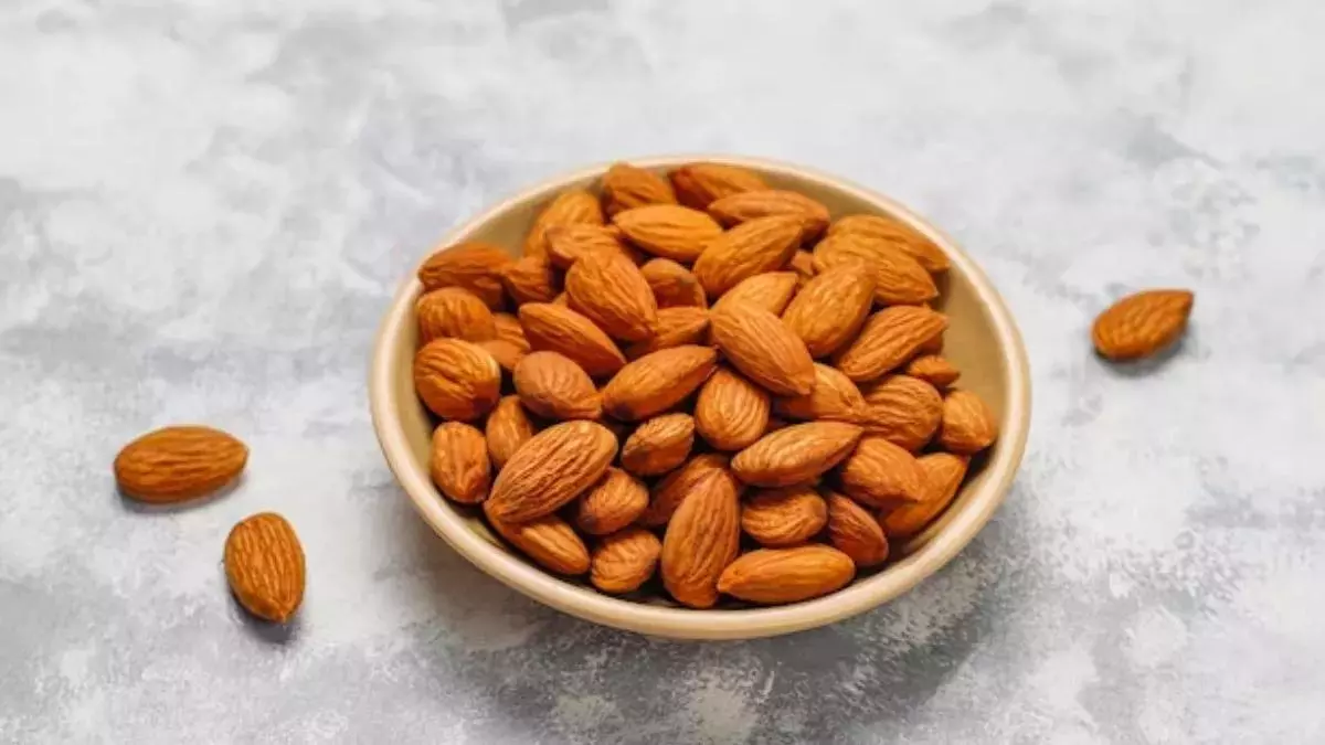 Almond Peels Benefits: कचरा समझकर न फेकें बादाम का छिलका, इन तरीकों से करें इस्तेमाल मिलेंगे कई सारे फायदे Almond Peels Benefits: कचरा समझकर न फेकें बादाम का छिलका, इन तरीकों से करें इस्तेमाल मिलेंगे कई सारे फायदे