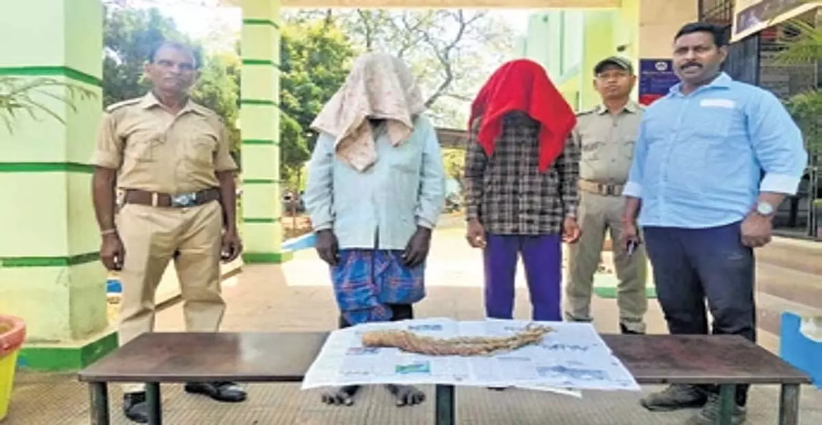 Odisha: महिला को कोड़े मारने के आरोप में तांत्रिक समेत चार अन्य गिरफ्तार Odisha: महिला को कोड़े मारने के आरोप में तांत्रिक समेत चार अन्य गिरफ्तार