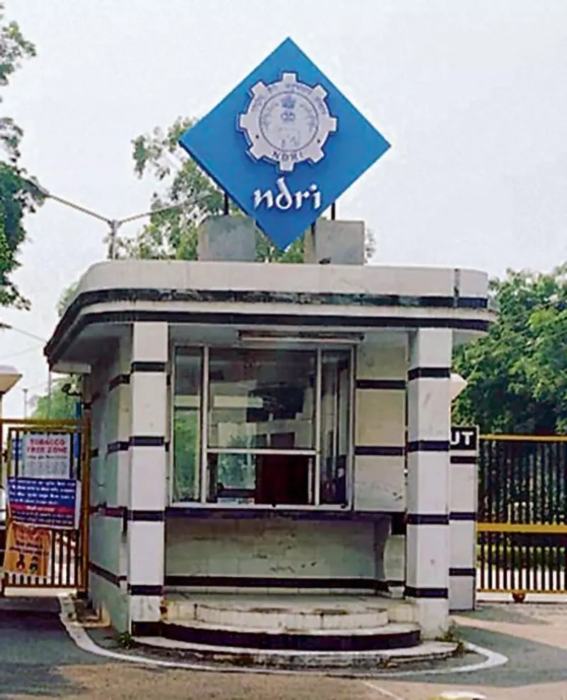 Haryana : कैम्पस नोट्स 450 छात्रों को डिग्री प्रदान की गई Haryana : कैम्पस नोट्स 450 छात्रों को डिग्री प्रदान की गई