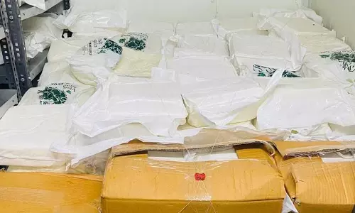 8 लाख का मिलावटी पनीर जब्त, कई जगहों में फूड एंड ड्रग्स विभाग की रेड 8 लाख का मिलावटी पनीर जब्त, कई जगहों में फूड एंड ड्रग्स विभाग की रेड