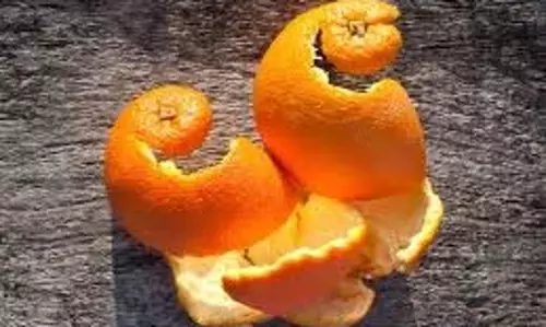 Orange Peel Benefits: संतरे के छिलकों को बेकार समझकर न फेंके, ऐसे करेंगे इस्तेमाल तो मिलेंगे फायदे