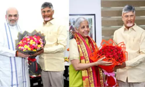 चंद्रबाबू नायडू ने केंद्रीय मंत्री अमित शाह और निर्मला सीतारमण से की मुलाकात
