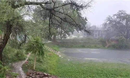 Bihar Weather Today: तेज हवाओं के साथ हल्की बारिश की संभावना