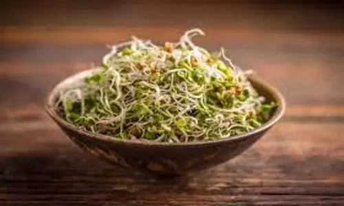 Sprouts: नाश्ते से पहले रोज खाएं स्प्राउट्स, जानें ये कमाल के फायदे Sprouts: नाश्ते से पहले रोज खाएं स्प्राउट्स, जानें ये कमाल के फायदे
