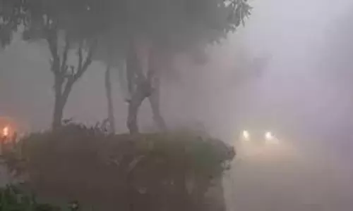 Haryana weather: सर्द हवाओं से बढ़ी ठिठुरन, पहाड़ों पर बर्फबारी से न्यूनतम तापमान में गिरावट दर्ज