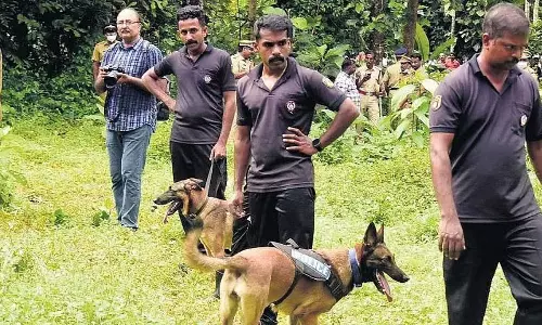 Telangana accident : बचाव अभियान में केरल के शव कुत्ते Telangana accident : बचाव अभियान में केरल के शव कुत्ते