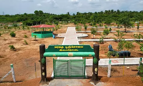 Tamil Nadu में 17 और हरित ग्रामीण वन बनाए जाएंगे