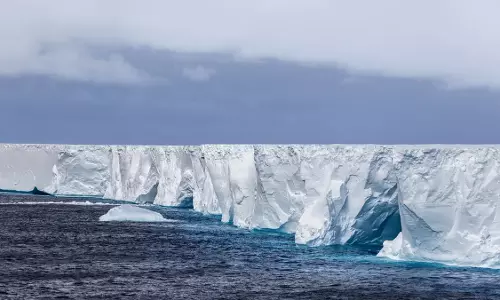 Queen of icebergs A23a को दक्षिण अटलांटिक वन्यजीव आश्रय स्थल के पास उतारा गया