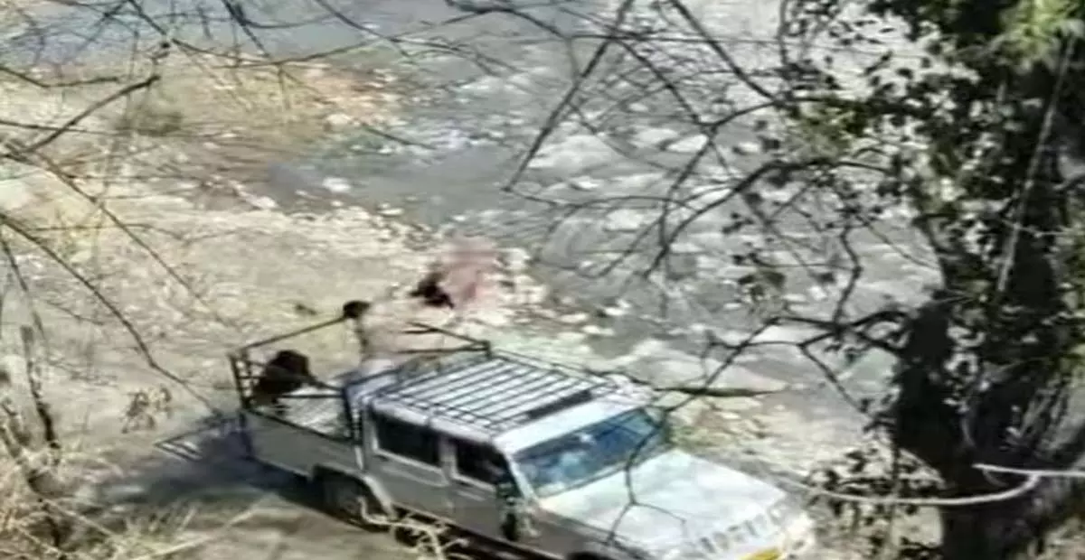 Himachal: कुल्लू में ब्यास नदी के किनारे कूड़ा फेंकने पर वाहन मालिक पर 5,000 रुपये का जुर्माना Himachal: कुल्लू में ब्यास नदी के किनारे कूड़ा फेंकने पर वाहन मालिक पर 5,000 रुपये का जुर्माना