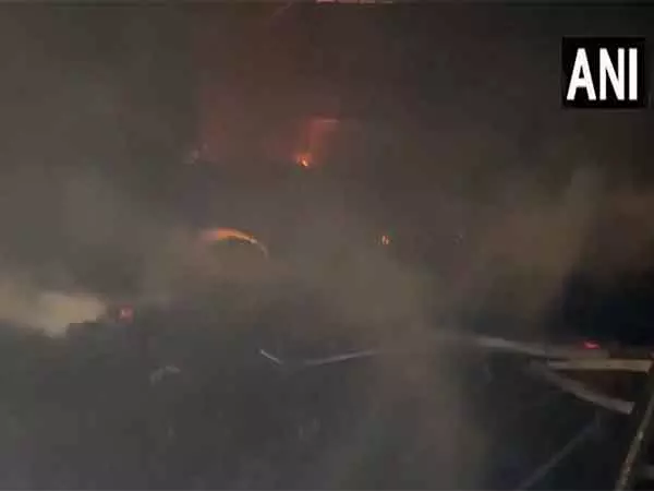 Gandhidham में कामधेनु गौ सेवा ट्रस्ट में लगी आग Gandhidham में कामधेनु गौ सेवा ट्रस्ट में लगी आग