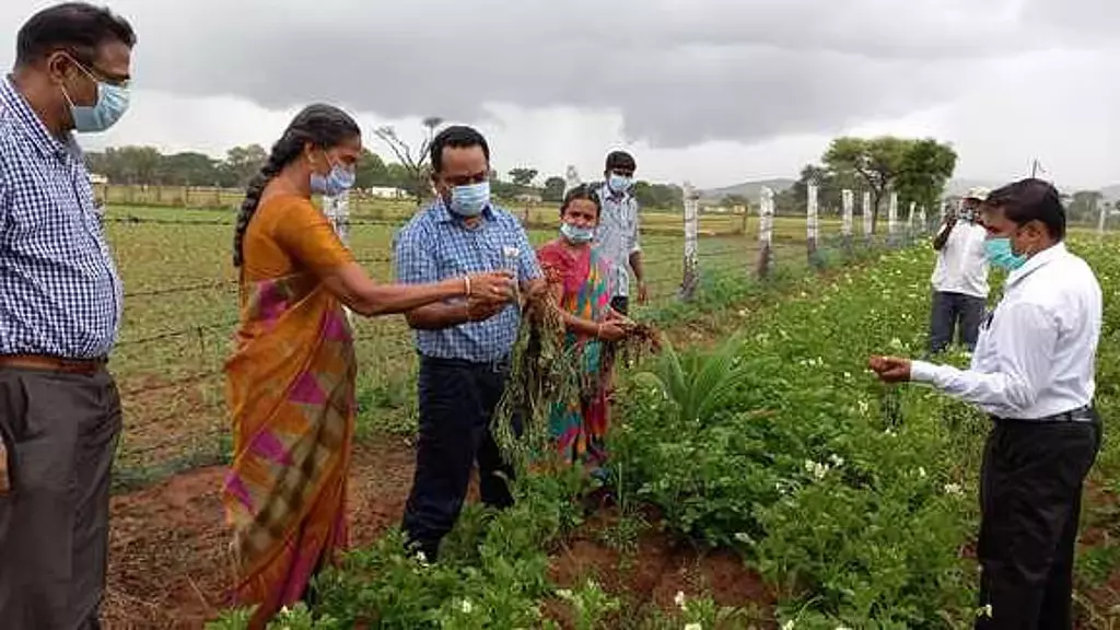 मदुरै में कृषि विश्वविद्यालय स्थापित करने की किसानों की मांग : Minister K.N. Nehru मदुरै में कृषि विश्वविद्यालय स्थापित करने की किसानों की मांग : Minister K.N. Nehru