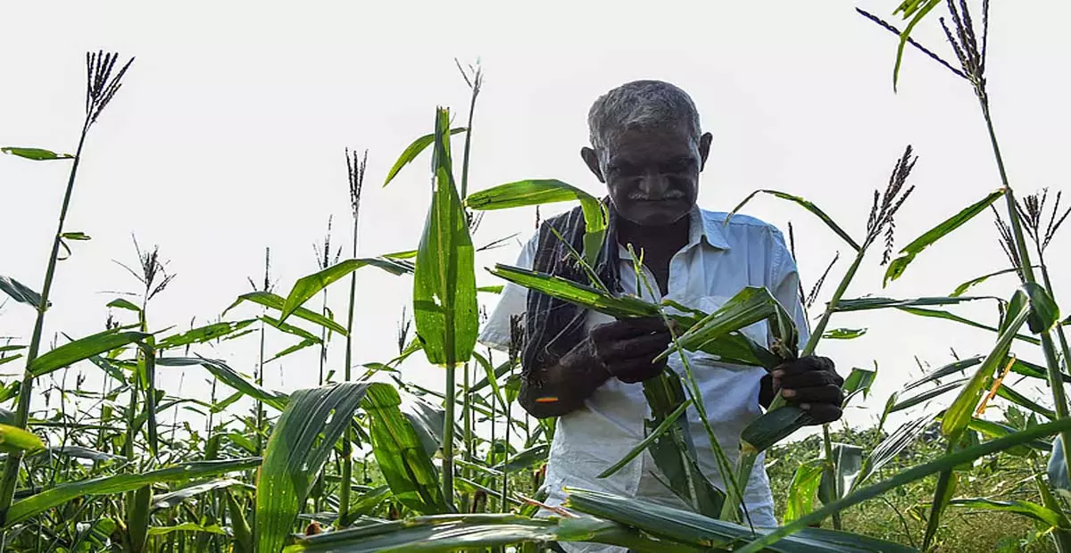 Tamil Nadu: तमिलनाडु सरकार ने एक प्रतिशत बाजार शुल्क माफ किया Tamil Nadu: तमिलनाडु सरकार ने एक प्रतिशत बाजार शुल्क माफ किया