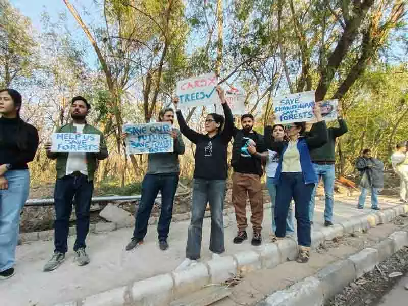 Chandigarh: रॉक गार्डन के पास पेड़ों की कटाई के खिलाफ विरोध प्रदर्शन तेज Chandigarh: रॉक गार्डन के पास पेड़ों की कटाई के खिलाफ विरोध प्रदर्शन तेज