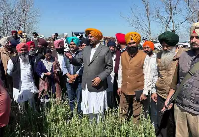 Amritsar: फसल क्षति का आकलन करने के लिए मंत्री धालीवाल ने राजासांसी का दौरा किया Amritsar: फसल क्षति का आकलन करने के लिए मंत्री धालीवाल ने राजासांसी का दौरा किया
