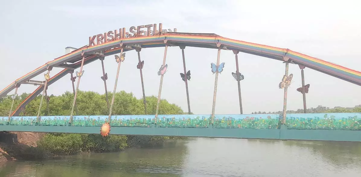 Cumbarjua Sarpanch: सरकारी निवेश के बावजूद किसान कृषि सेतु पुल का उपयोग नहीं कर रहे Cumbarjua Sarpanch: सरकारी निवेश के बावजूद किसान कृषि सेतु पुल का उपयोग नहीं कर रहे