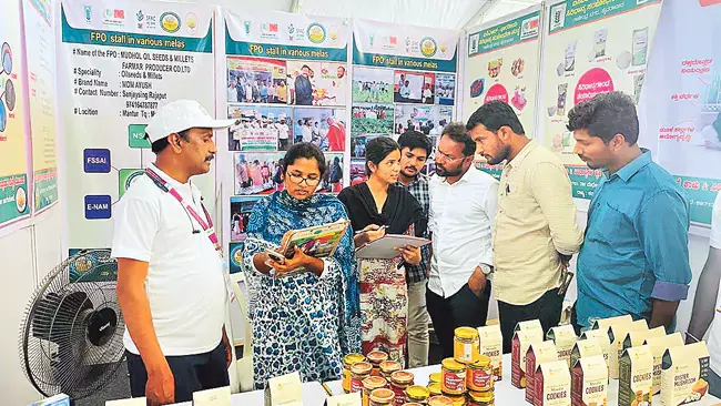 Telangana: राज्य सरकार ने पौष्टिक छोटे अनाजों की खेती बढ़ाने पर जोर दिया Telangana: राज्य सरकार ने पौष्टिक छोटे अनाजों की खेती बढ़ाने पर जोर दिया
