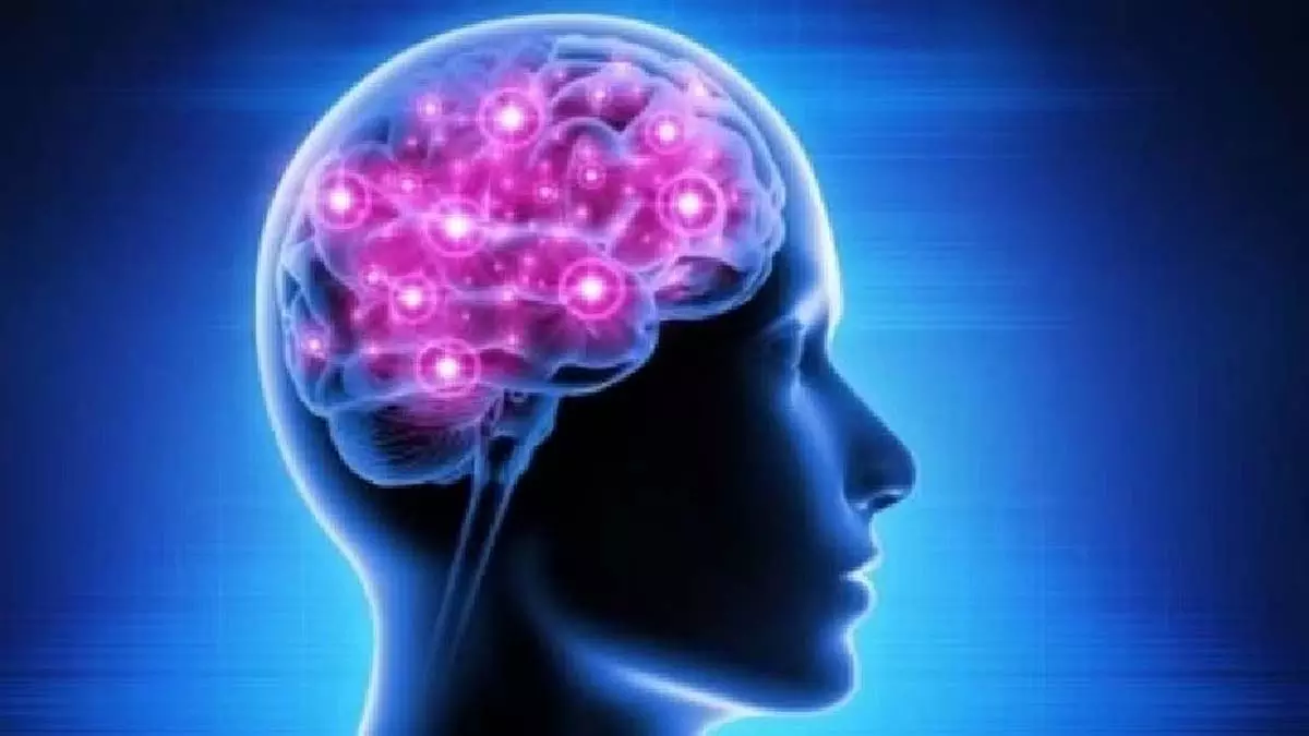 2050 तक पार्किंसन रोग से 2.5 करोड़ से अधिक लोग प्रभावित हो सकते हैं- Study 2050 तक पार्किंसन रोग से 2.5 करोड़ से अधिक लोग प्रभावित हो सकते हैं- Study