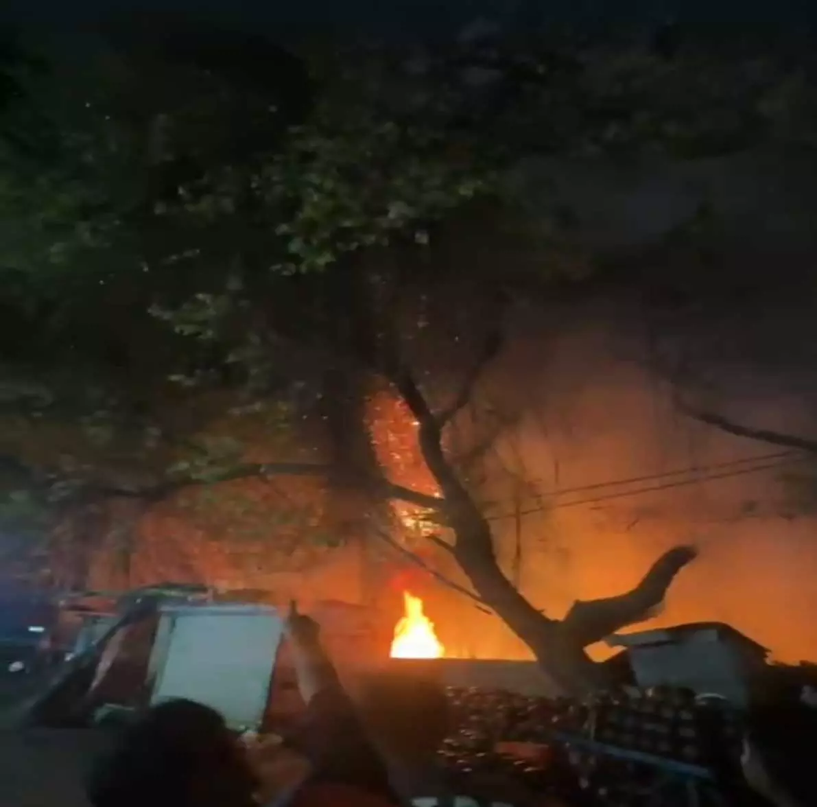 सुंदरनगर इलाके में लगी भीषण आग, देखें VIDEO... सुंदरनगर इलाके में लगी भीषण आग, देखें VIDEO...