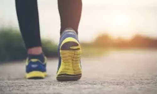 Health: जानें वजन कम करने के लिए सुबह या शाम में से किस समय टहलना बेहतर है