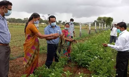 मदुरै में कृषि विश्वविद्यालय स्थापित करने की किसानों की मांग : Minister K.N. Nehru मदुरै में कृषि विश्वविद्यालय स्थापित करने की किसानों की मांग : Minister K.N. Nehru