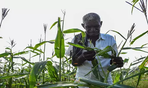 Tamil Nadu: तमिलनाडु सरकार ने एक प्रतिशत बाजार शुल्क माफ किया