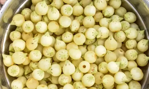 महुआ: प्रकृति का अनमोल उपहार, औषधीय गुणों की खान महुआ: प्रकृति का अनमोल उपहार, औषधीय गुणों की खान
