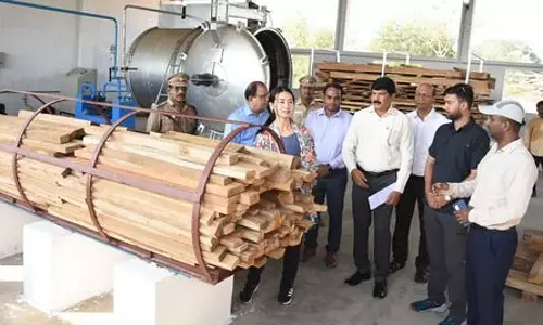 लकड़ी प्रसंस्करण केंद्र: जापानी प्रतिनिधियों ने की प्रशंसा