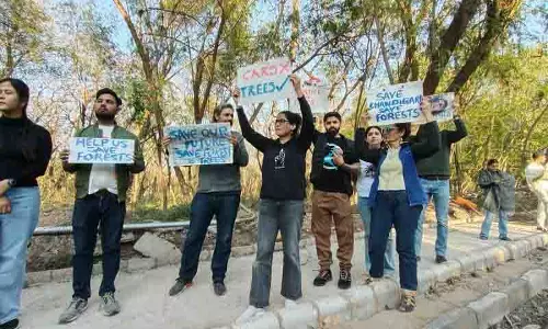 Chandigarh: रॉक गार्डन के पास पेड़ों की कटाई के खिलाफ विरोध प्रदर्शन तेज