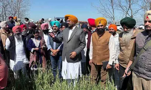 Amritsar: फसल क्षति का आकलन करने के लिए मंत्री धालीवाल ने राजासांसी का दौरा किया