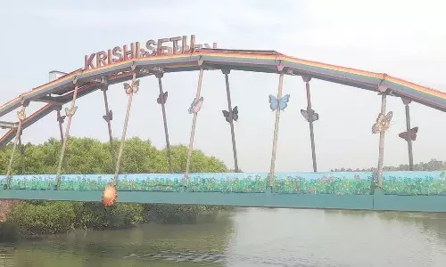 Cumbarjua Sarpanch: सरकारी निवेश के बावजूद किसान कृषि सेतु पुल का उपयोग नहीं कर रहे