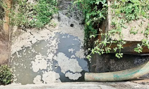 Bombay HC ने सालपेम झील-साल नदी में प्रदूषण फैलाने वाले व्यवसायों के खिलाफ कार्रवाई का आदेश दिया Bombay HC ने सालपेम झील-साल नदी में प्रदूषण फैलाने वाले व्यवसायों के खिलाफ कार्रवाई का आदेश दिया