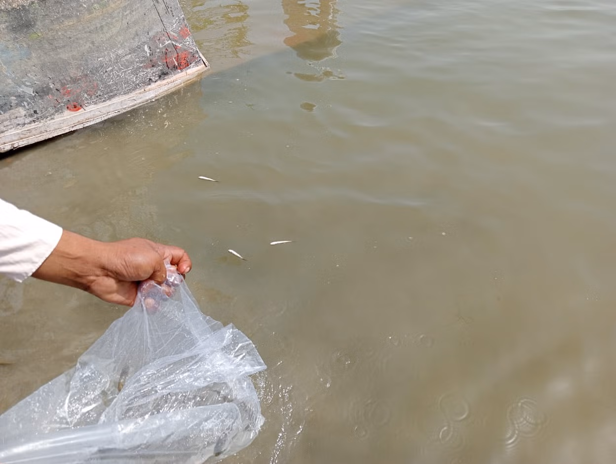 Kashipur: तालाब में मछली मारने आया युवक लापता हुआ, तलाश जारी