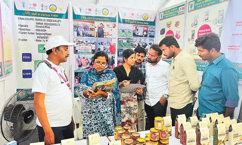 Telangana: राज्य सरकार ने पौष्टिक छोटे अनाजों की खेती बढ़ाने पर जोर दिया Telangana: राज्य सरकार ने पौष्टिक छोटे अनाजों की खेती बढ़ाने पर जोर दिया