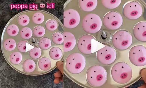 छोटी बच्ची ने सोशल मीडिया पर पेप्पा पिग थीम वाली इडली का VIDEO किया शेयर