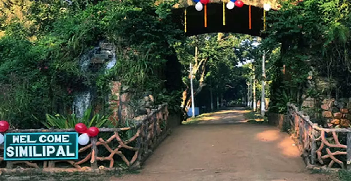 Odisha: पवित्र उपवनों पर मुंडा जनजाति के कानूनी अधिकारों की रक्षा करें Odisha: पवित्र उपवनों पर मुंडा जनजाति के कानूनी अधिकारों की रक्षा करें