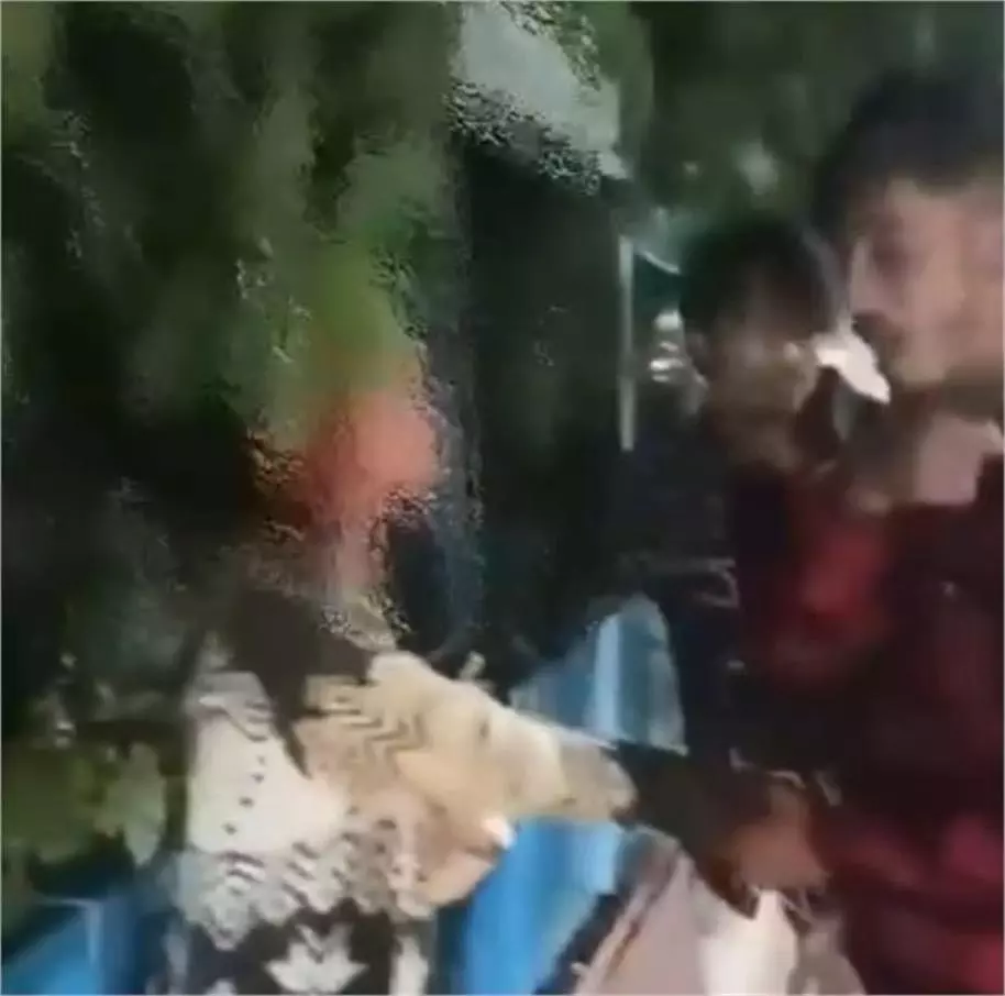Bhopal: बीच सड़क पर हाई वोल्टेज ड्रामा Bhopal: बीच सड़क पर हाई वोल्टेज ड्रामा
