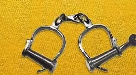 घर में सेंधमारी और चोरी का मामला: गणानाशेखरन का साथी गिरफ्तार घर में सेंधमारी और चोरी का मामला: गणानाशेखरन का साथी गिरफ्तार