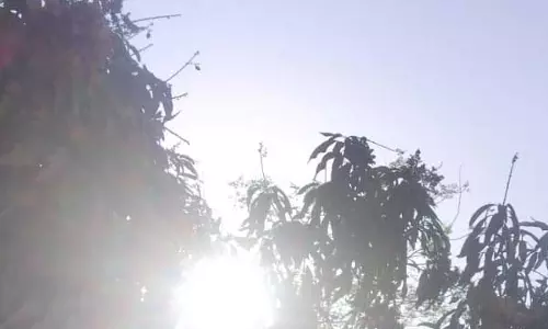 लू पर अलर्ट जारी, बचाव के उपाय