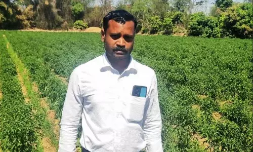जमीन तीन एकड़, धान के साथ साथ मिर्च-भिंडी की खेती कर करोड़पति बना किसान