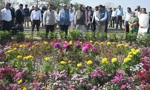 उपराज्यपाल ने किया अमृत जैव विविधता पार्क का उद्घाटन