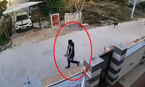 कुत्तों के झुंड ने घेरा, फिर युवती पर किया हमला, सदमे में आई, खौफनाक VIDEO
