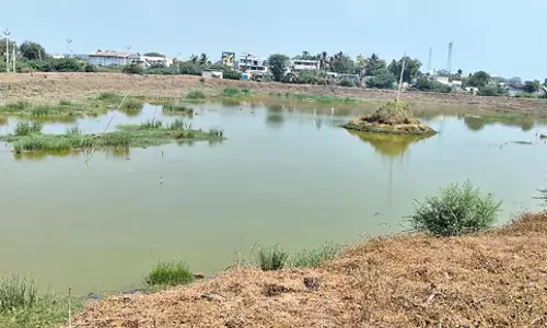 Andhra: अवैध मिट्टी खनन पर सतर्कता निरीक्षण